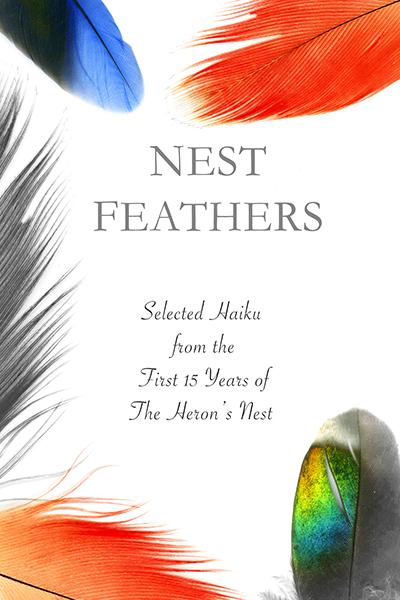 Nest Feathers
