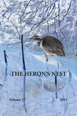 The Heron's Nest, Volume 17